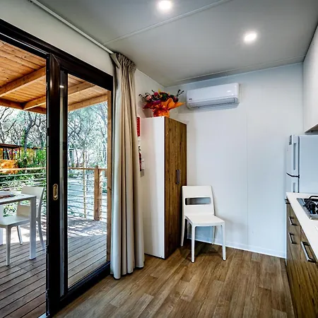 Internazionale Etruria 2*