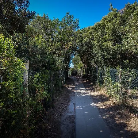 Campsite Internazionale Etruria 2*