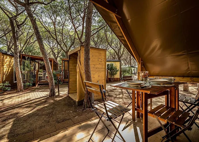 Internazionale Etruria