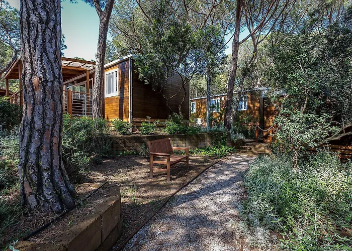 Internazionale Etruria 캠프장 카스틸리오네 델라 페스카이아