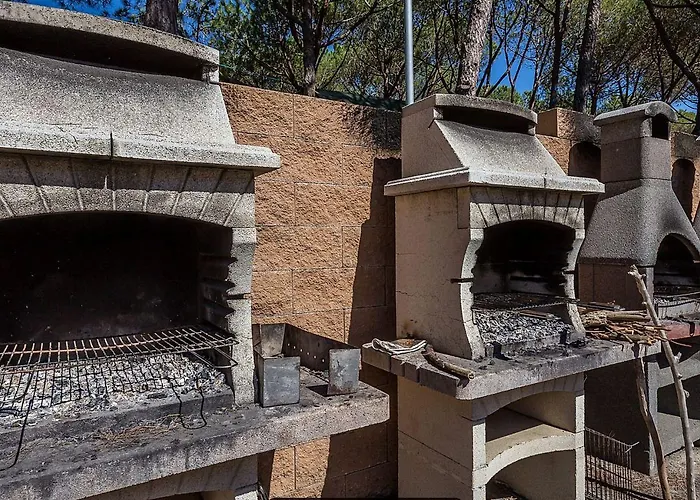 캠프장 Internazionale Etruria