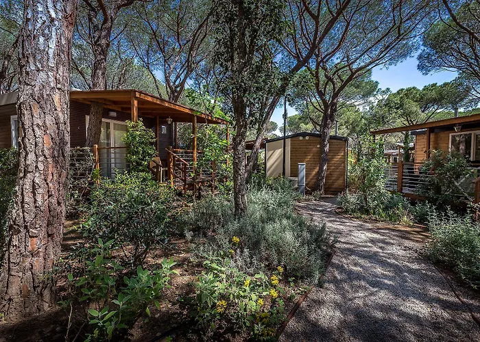 Internazionale Etruria 캠프장