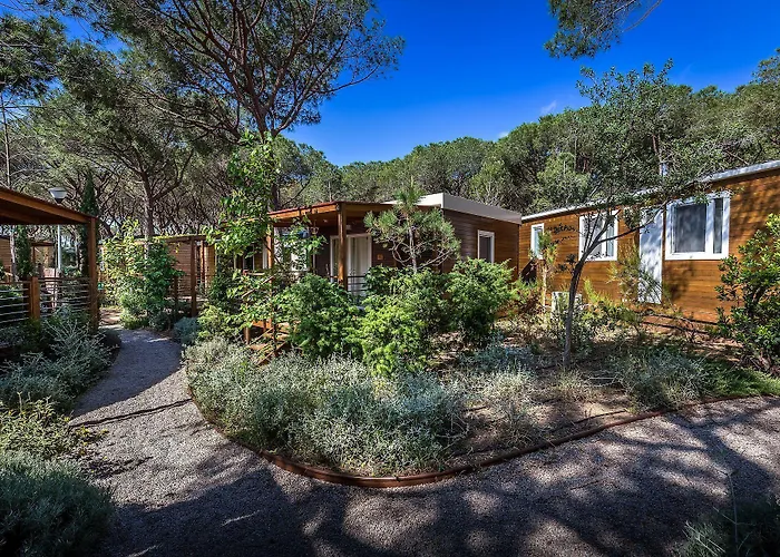 Internazionale Etruria