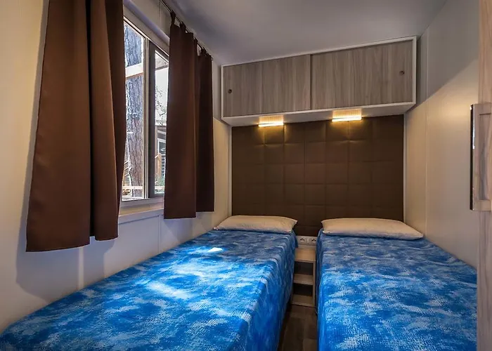 Internazionale Etruria