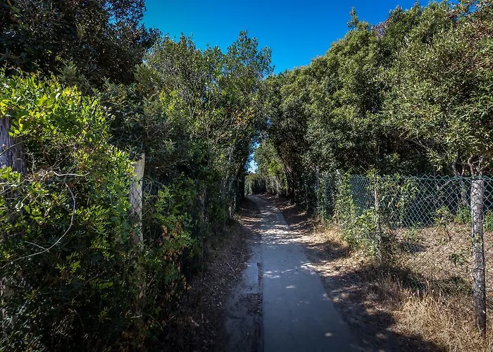 캠프장 Internazionale Etruria 2*