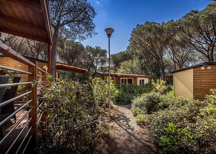 캠프장 Internazionale Etruria