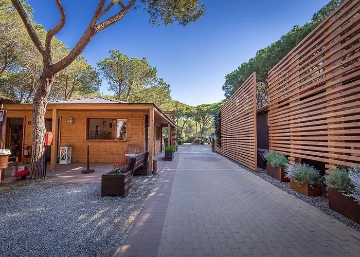 Internazionale Etruria